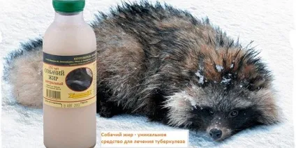 Собачий жир склад, користь, шкода, як застосовувати (користь) Собачий жир склад, користь, шкода, як застосовувати