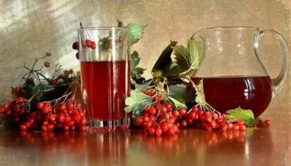 Сік калини корисні властивості самого багатогранного напою (калини) Сік калини корисні властивості самого багатогранного напою
