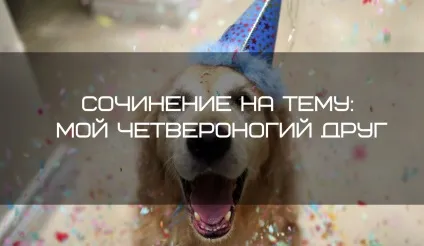 Твір на тему мій чотириногий друг (твір) Твір на тему мій чотириногий друг