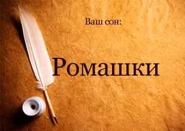 Сонник ромашки білі великі в букеті уві сні бачити до чого сняться (бачити сон ромашка сонник наснитися білий тримати миллер що снитися букет рука ширяння чоловік колишній) Сонник ромашки білі великі в букеті уві сні бачити до чого сняться