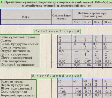 Складання кормових раціонів для корів (корови повинні отримувати) Складання кормових раціонів для корів