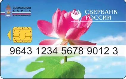 Соціальна карта ощадбанку (ощадбанку) Соціальна карта ощадбанку