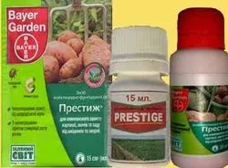 Засоби від колорадського жука і дротяників на картоплі (жука) Засоби від колорадського жука і дротяників на картоплі