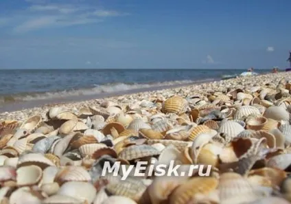 Станиця Должанська, Должанська