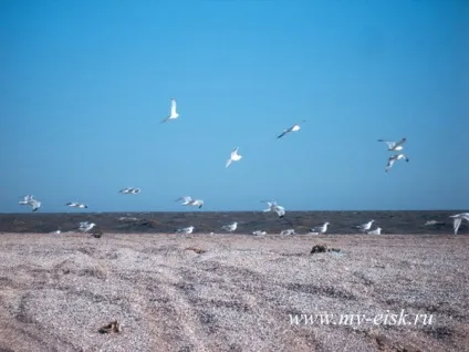 Станиця Должанська, Должанська