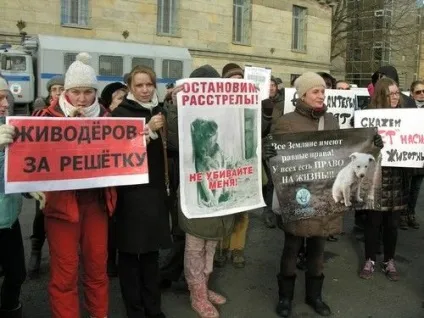 Стаття - винищення бродячих собак