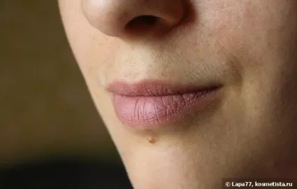 Стійка помада мax factor lipfinity lip colour 015 etheral відгуки
