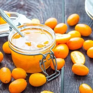 Сушений кумкват користь і протипоказання, food and health (калорійність) Сушений кумкват користь і протипоказання, food and health