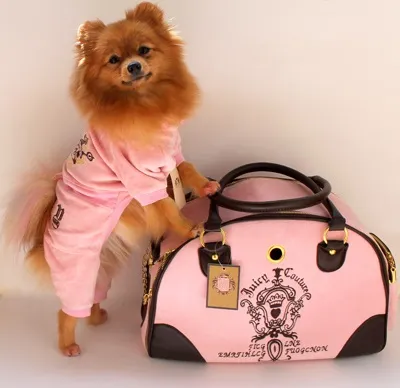 Сумки для перенесення juicy couture vs (Couture Puppy Angel) Сумки для перенесення juicy couture vs