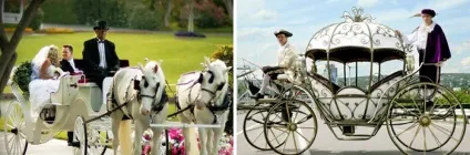 Весілля в королівському стилі - сценарій торжества і оформлення, фото і відео