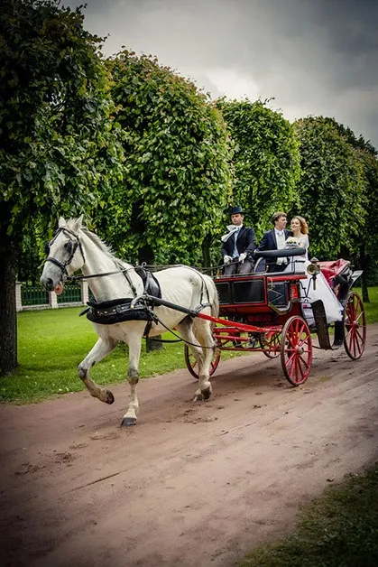 Весільна фотозйомка та відеозйомка (красиві весільні фото) Весільна фотозйомка та відеозйомка