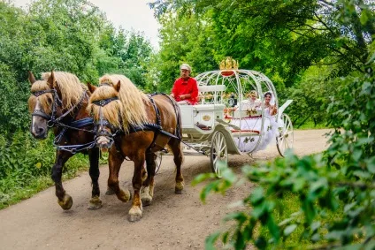 Весільна фотозйомка та відеозйомка (красиві весільні фото) Весільна фотозйомка та відеозйомка