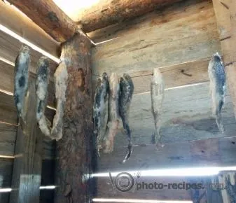Таранка з карася в домашніх умовах рецепт (покроковий рецепт) Таранка з карася в домашніх умовах рецепт