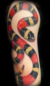 Тату змія (значення, фото, ескізи), tattoofotos (тату) Тату змія (значення, фото, ескізи), tattoofotos
