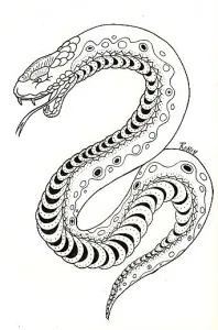 Тату змія (значення, фото, ескізи), tattoofotos (татуювання з тваринами) Тату змія (значення, фото, ескізи), tattoofotos