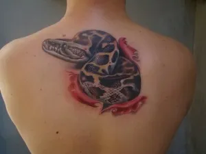Тату змія (значення, фото, ескізи), tattoofotos (татуювання зі знаками) Тату змія (значення, фото, ескізи), tattoofotos