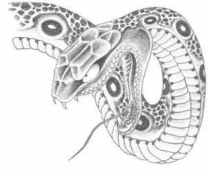 Тату змія (значення, фото, ескізи), tattoofotos (чоловічі татуювання) Тату змія (значення, фото, ескізи), tattoofotos