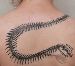 Тату змія (значення, фото, ескізи), tattoofotos (жіночі татуювання) Тату змія (значення, фото, ескізи), tattoofotos