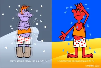 теплообмін людини