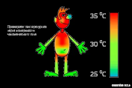 теплообмін людини