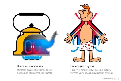 теплообмін людини