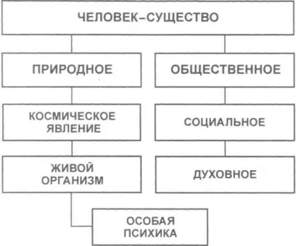 Тема § людина як природне і соціальне істота (людина) Тема § людина як природне і соціальне істота