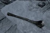 Tes v skyrim - дубина велетня