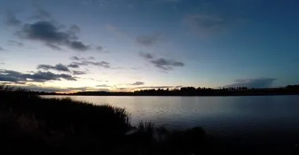 Тісто для риболовлі найкраща приманка для коропа карася (тісто для риболовлі) Тісто для риболовлі найкраща приманка для коропа карася