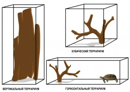 Тераріум для змій інтер'єр з повзучими вихованцями, дизайн інтер'єру (змій) Тераріум для змій інтер'єр з повзучими вихованцями, дизайн інтер'єру