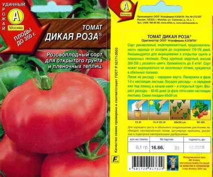 Томат дика троянда відгуки городників фото з описом, сорт помідорів і його характеристика (томат дика троянда відгуки городників) Томат дика троянда відгуки городників фото з описом, сорт помідорів і його характеристика