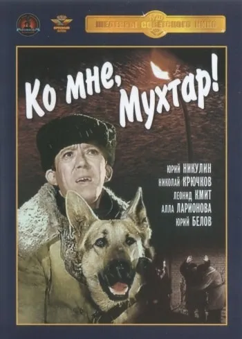 Топ 10, кращі фільми про собак
