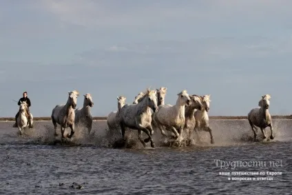 Топ-10 пам'яток Провансу статті (статті) Топ-10 пам'яток Провансу статті