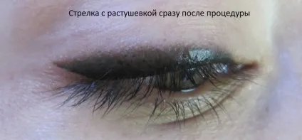 Татуаж брів і очей в санкт-Петерубрге (брів) Татуаж брів і очей в санкт-Петерубрге