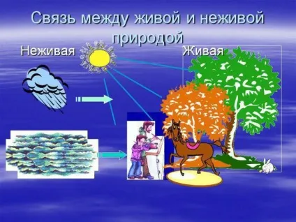 Зв'язки живої та неживої природи