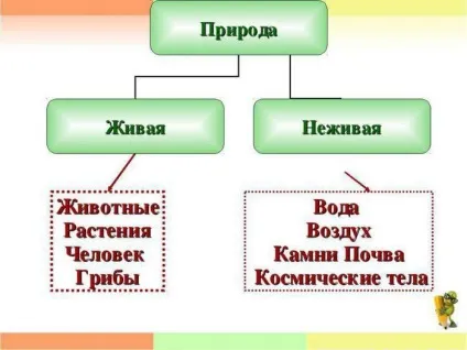 Зв'язки живої та неживої природи