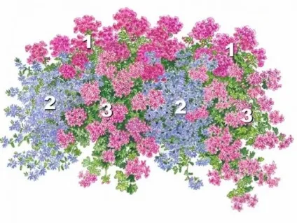 Схеми квіткових композицій яскрава, що грає сонячними фарбами, композиція з однорічних квітів -