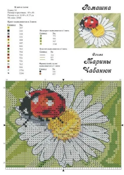 Схема вишивки ромашки