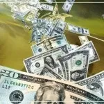 Трилапий жаба фен-шуй приверне в ваш будинок багатство (багатство) Трилапий жаба фен-шуй приверне в ваш будинок багатство