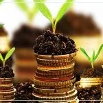 Трилапий жаба фен-шуй приверне в ваш будинок багатство (трилапий) Трилапий жаба фен-шуй приверне в ваш будинок багатство