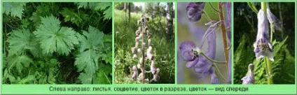 Трава (не) для кроликів