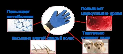 Тру тач - true touch - рукавичка для вичісування шерсті домашніх тварин тру тач - true touch (true touch) Тру тач - true touch - рукавичка для вичісування шерсті домашніх тварин тру тач - true touch