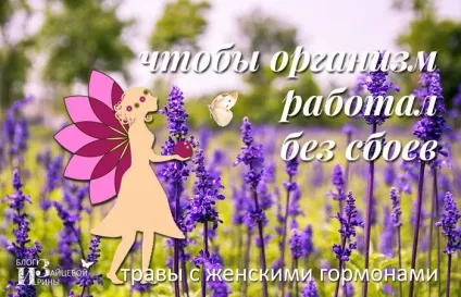 Трави для жіночого здоров'я, блог Ірини Зайцевої (життя кожної жінки) Трави для жіночого здоров'я, блог Ірини Зайцевої