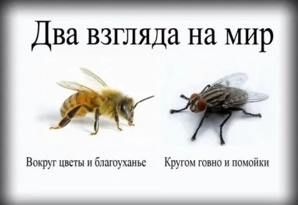 Тренінг для адміністраторів медичного центру може проводитися і окремо від тренінгів для (медичного) Тренінг для адміністраторів медичного центру може проводитися і окремо від тренінгів для