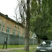 Видалення сухих дерев - послуга компанії промальпстрой