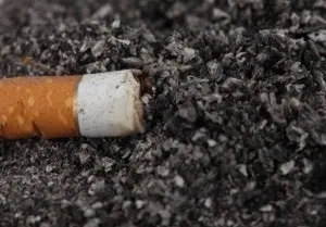 Добрива для кімнатних квітів в домашніх умовах (кімнатних) Добрива для кімнатних квітів в домашніх умовах