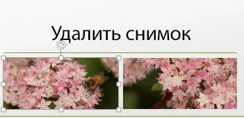 видалення зображення