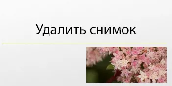 видалення зображення