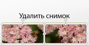 видалення зображення