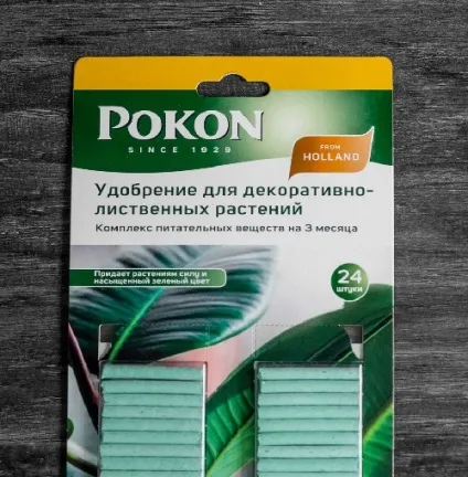 Добрива для драцени в домашніх умовах, відео (умовах) Добрива для драцени в домашніх умовах, відео