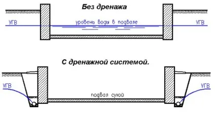 Знищення грибка в підвалі (грибка підвалі приватного) Знищення грибка в підвалі